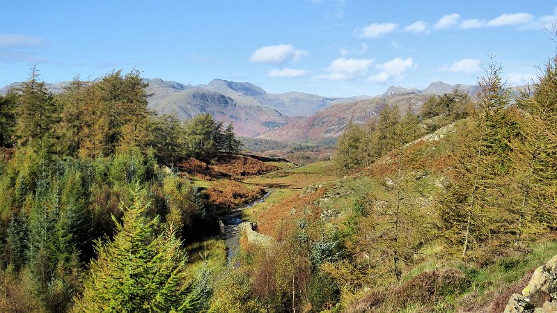 (33) Tarn Howes.JPG - (33) Langdale